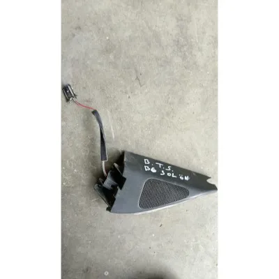 Volkswagen Passat B6 sol ön ayna muskası