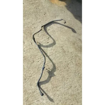 Festenhaose borusu  t4