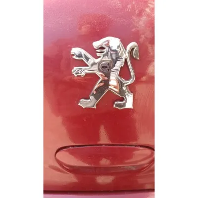 Peugeot 307 bagaj arması hatchback